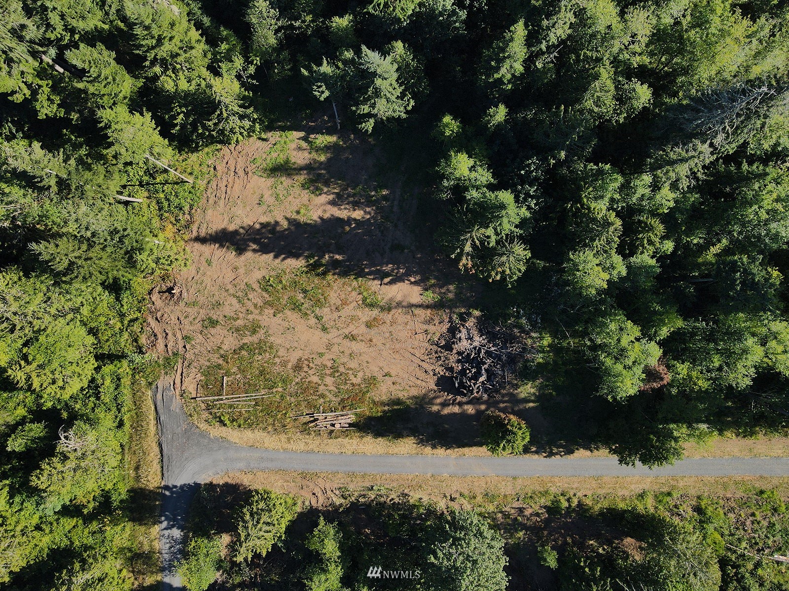 650-38 Logan Hill Road Chehalis, WA 98532 - Photo 36 of 36 a view of a tree with a yard