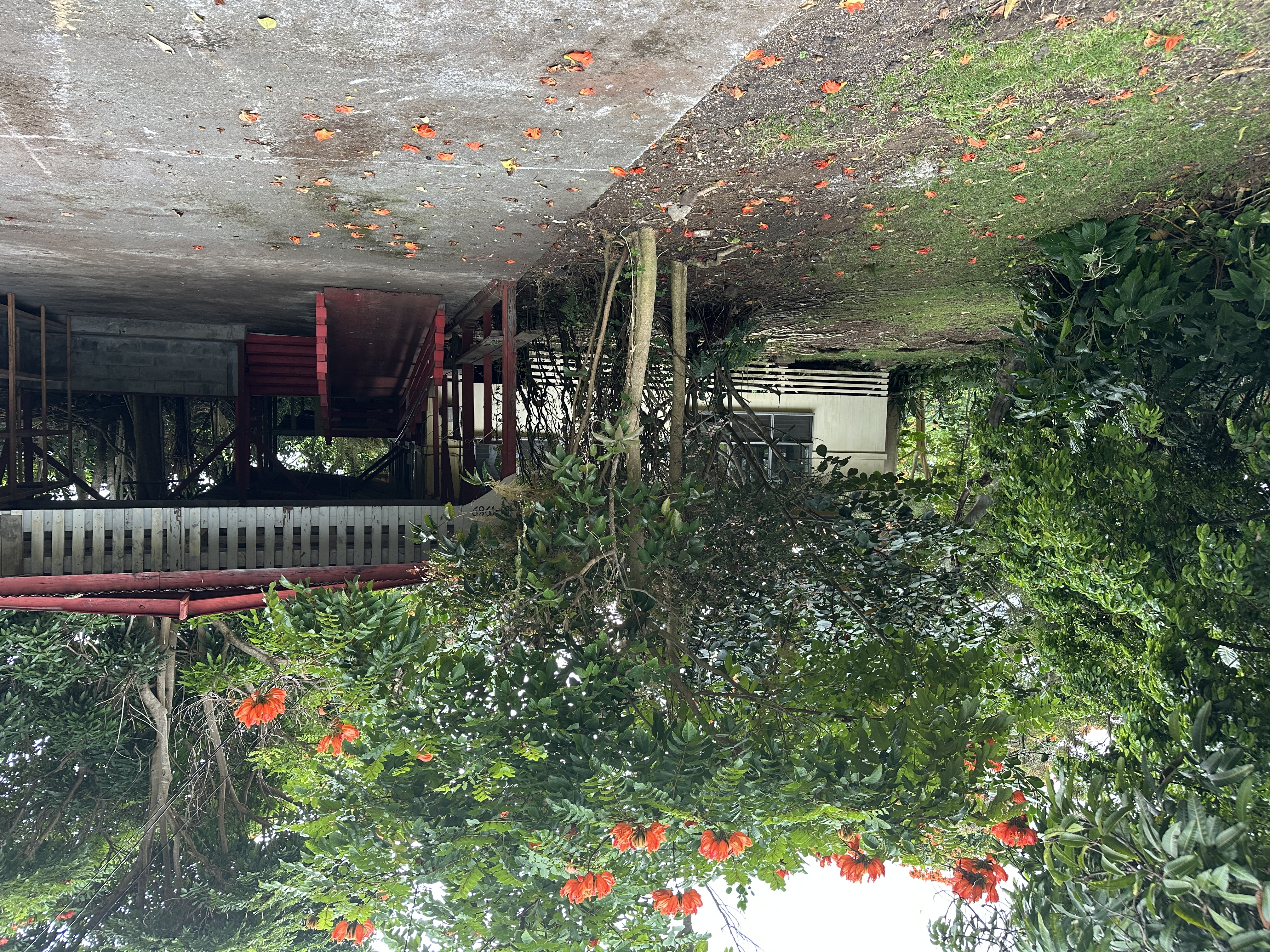 a view of a patio with table and chairs and wooden fence