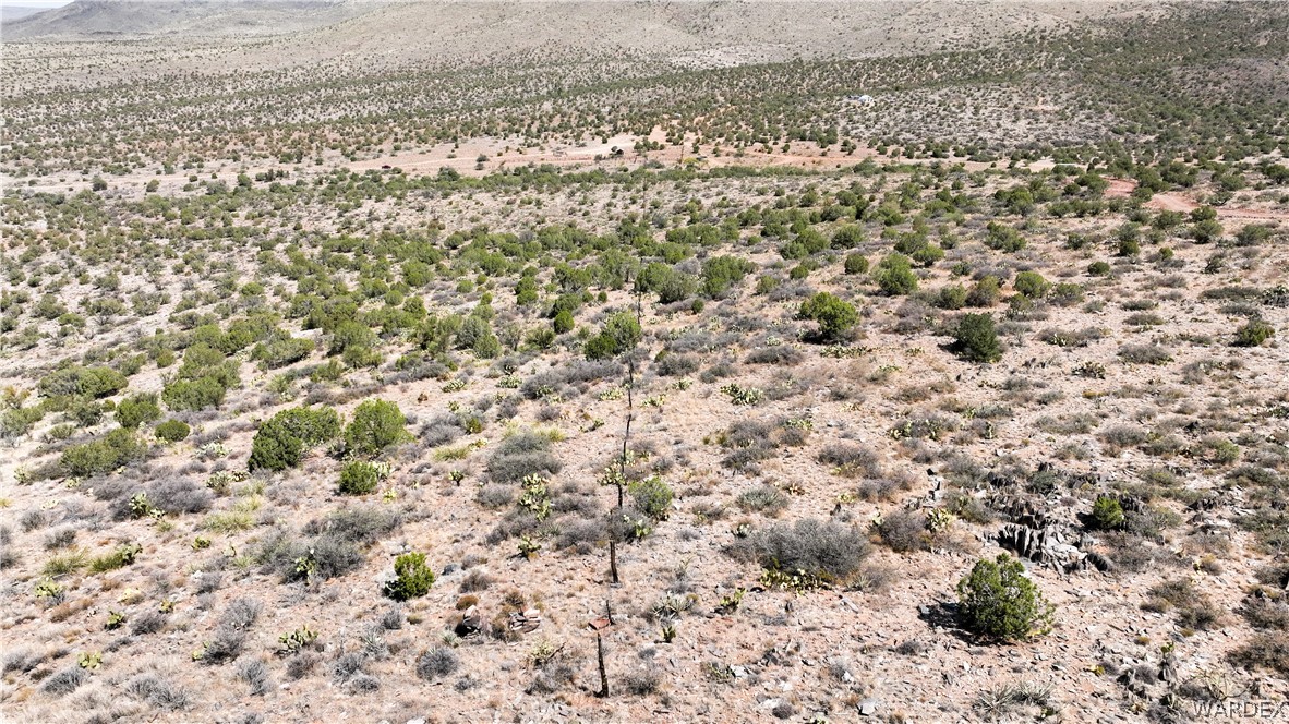 353-30-005 East Dicks Camp Road Hackberry, AZ 86411 - Photo 11 of 15