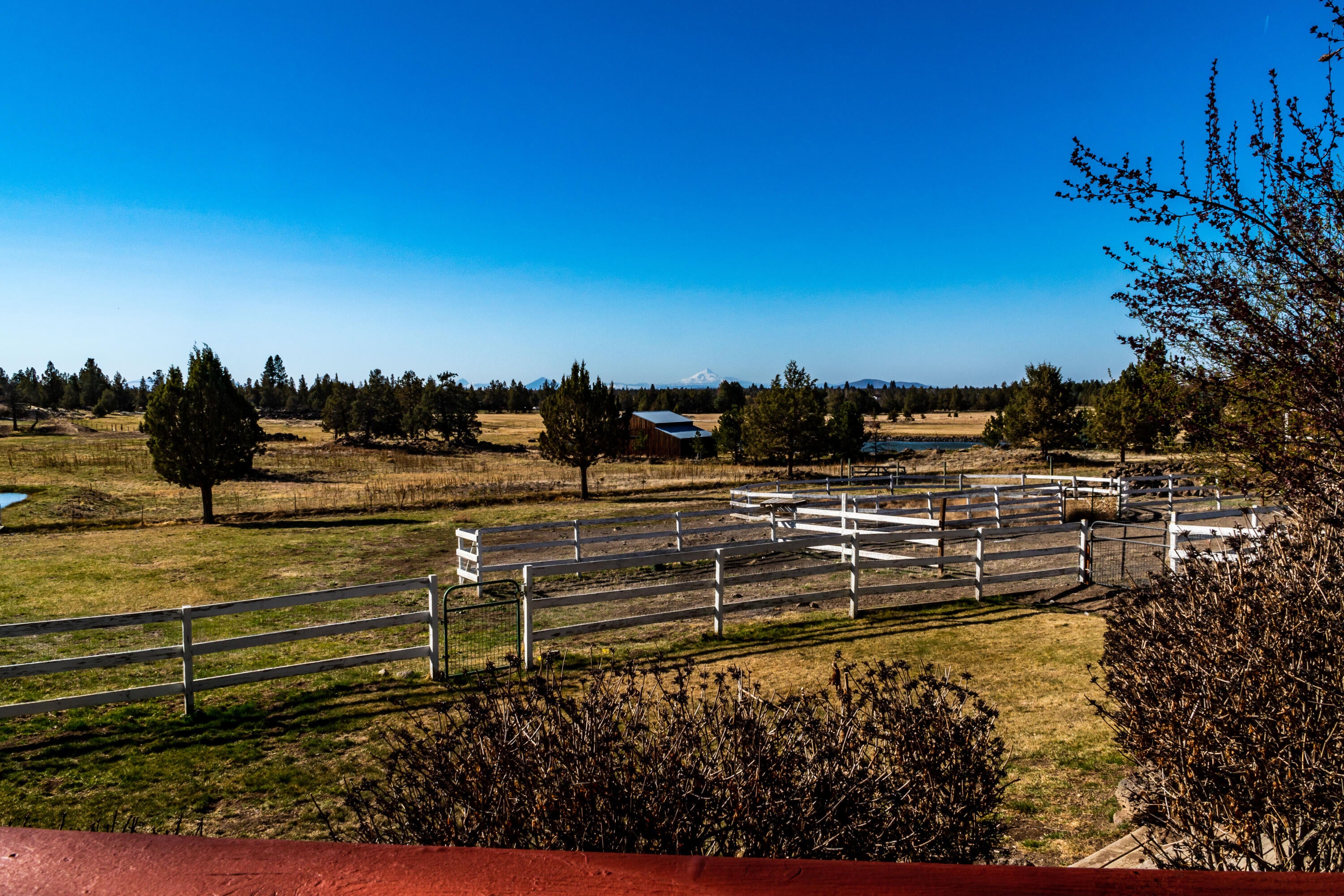 62425 Stenkamp Road Bend, OR 97701 - Photo 47 of 51 62425 Stenkamp Rd, Bend-80
