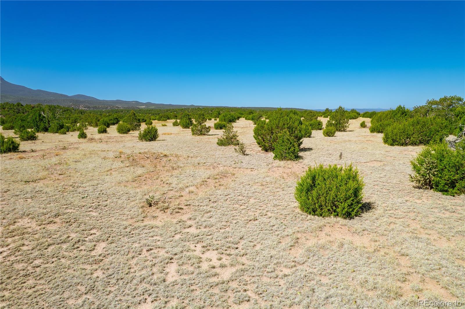 37300 Kunzite Road Trinidad, CO 81082 - Photo 31 of 35