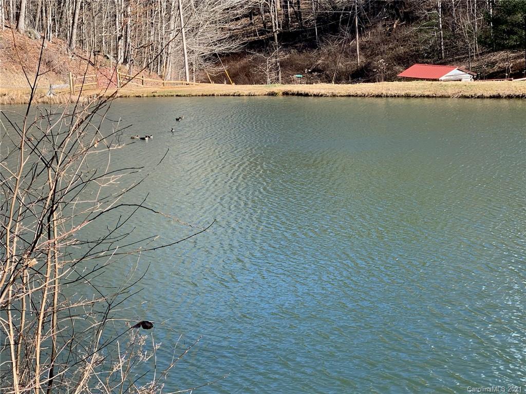 33 Rugged Top Road Waynesville, NC 28785 - Photo 1 of 36