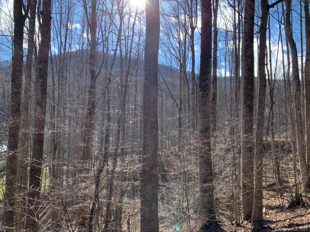 33 Rugged Top Road Waynesville, NC 28785 - Photo 11 of 36