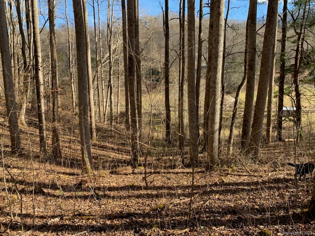 33 Rugged Top Road Waynesville, NC 28785 - Photo 12 of 36