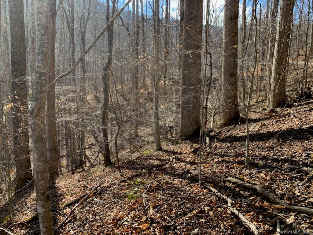 33 Rugged Top Road Waynesville, NC 28785 - Photo 13 of 36