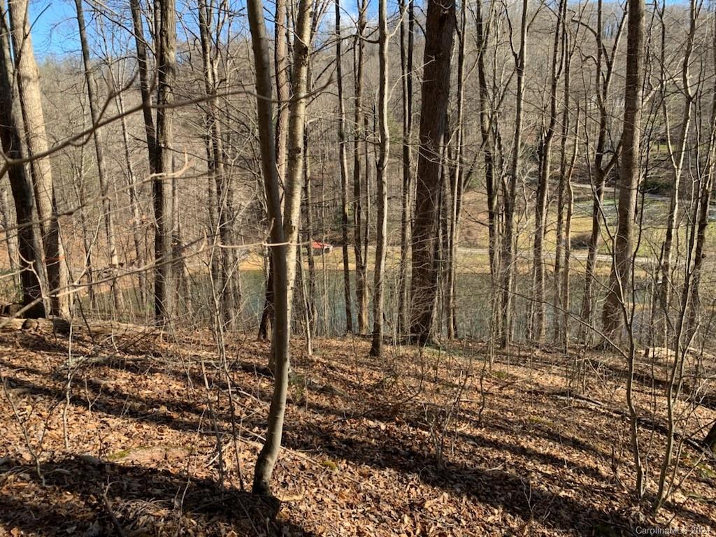 33 Rugged Top Road Waynesville, NC 28785 - Photo 14 of 36