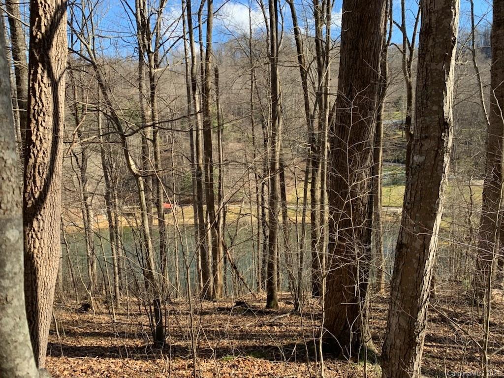 33 Rugged Top Road Waynesville, NC 28785 - Photo 15 of 36