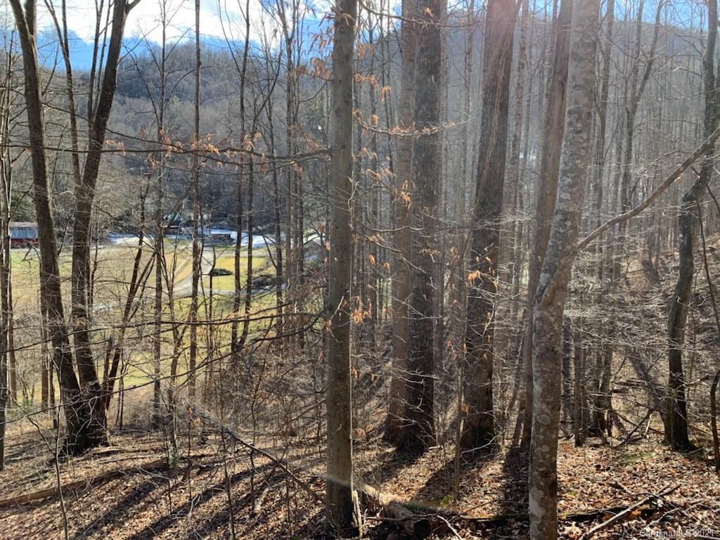 33 Rugged Top Road Waynesville, NC 28785 - Photo 16 of 36