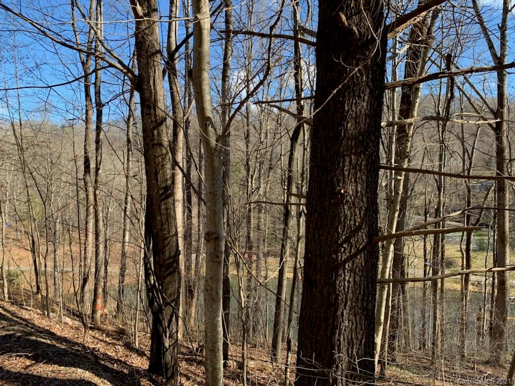 33 Rugged Top Road Waynesville, NC 28785 - Photo 17 of 36