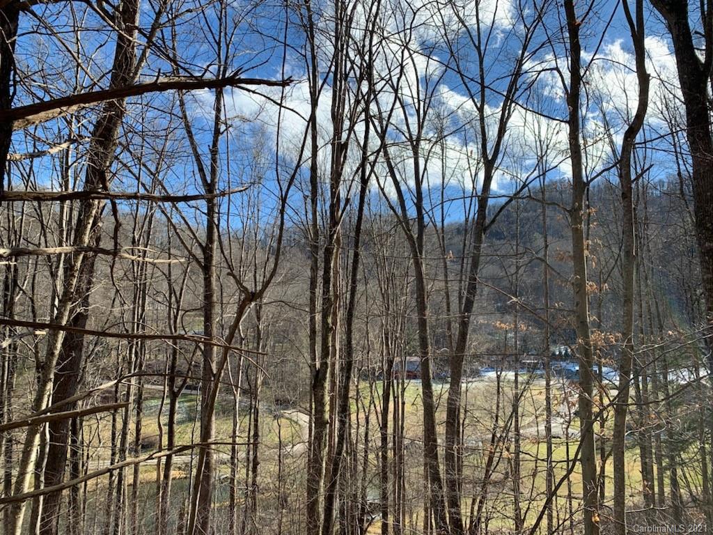 33 Rugged Top Road Waynesville, NC 28785 - Photo 18 of 36