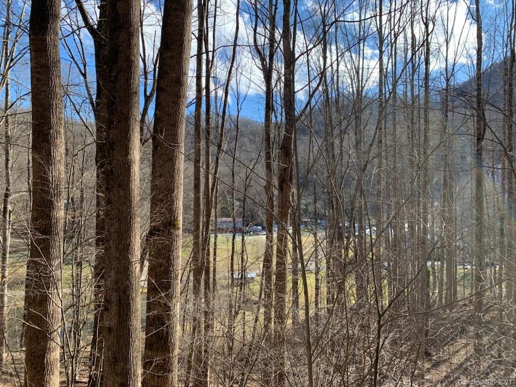 33 Rugged Top Road Waynesville, NC 28785 - Photo 19 of 36