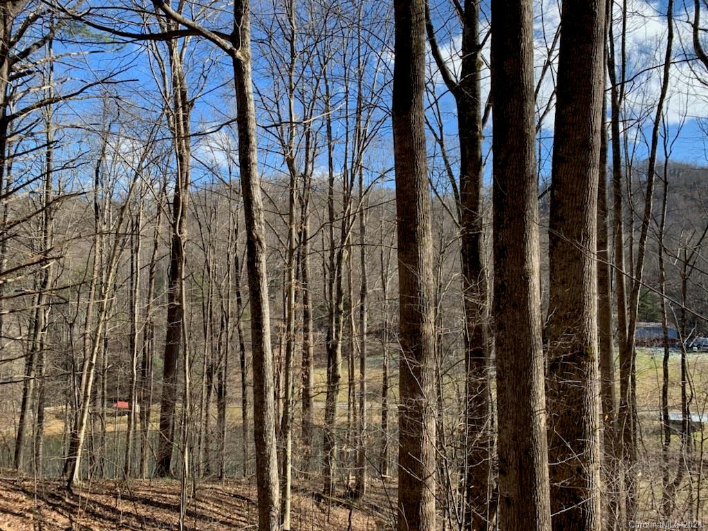 33 Rugged Top Road Waynesville, NC 28785 - Photo 20 of 36