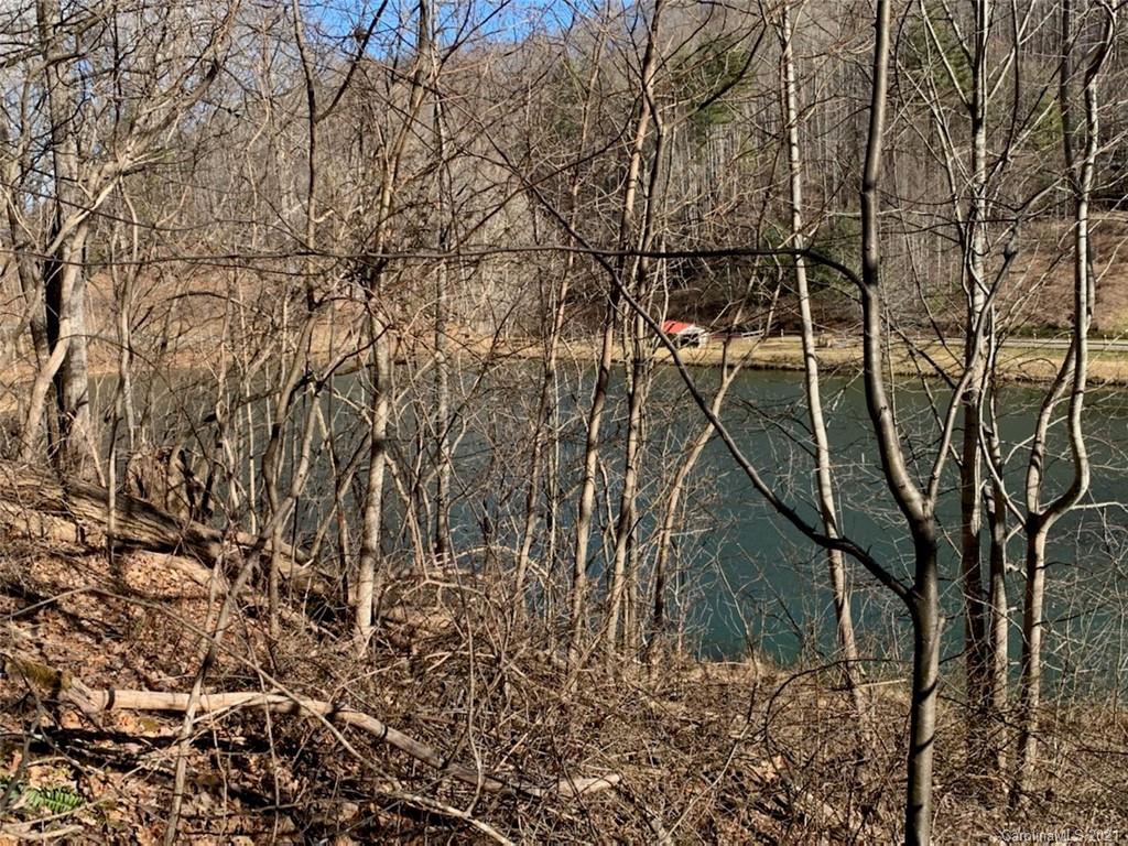 33 Rugged Top Road Waynesville, NC 28785 - Photo 3 of 36