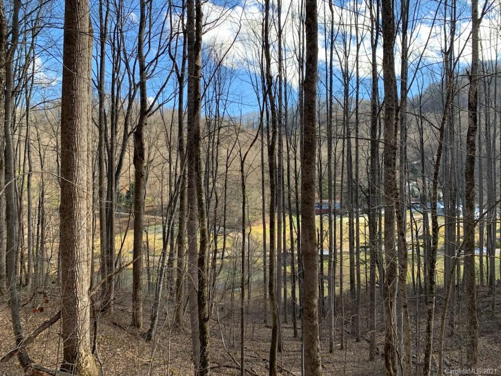 33 Rugged Top Road Waynesville, NC 28785 - Photo 21 of 36