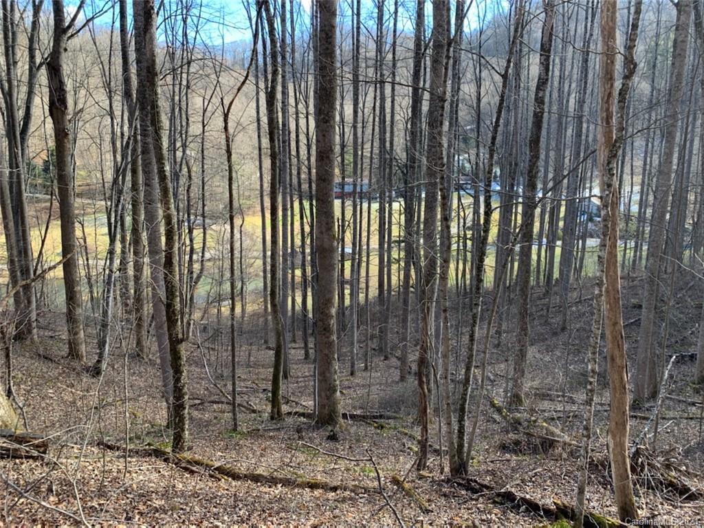 33 Rugged Top Road Waynesville, NC 28785 - Photo 22 of 36