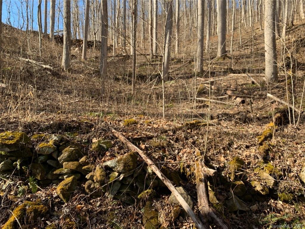 33 Rugged Top Road Waynesville, NC 28785 - Photo 23 of 36