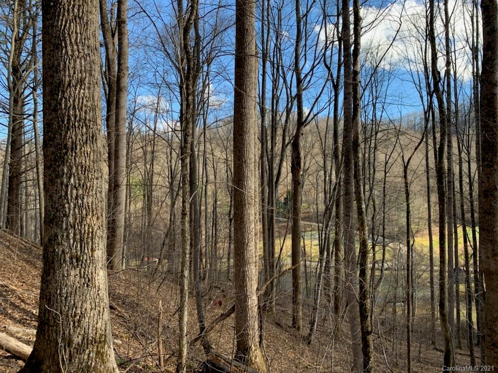 33 Rugged Top Road Waynesville, NC 28785 - Photo 24 of 36
