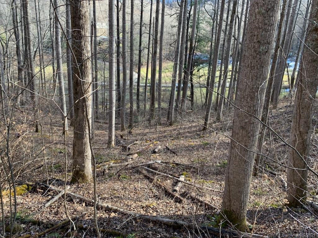 33 Rugged Top Road Waynesville, NC 28785 - Photo 25 of 36