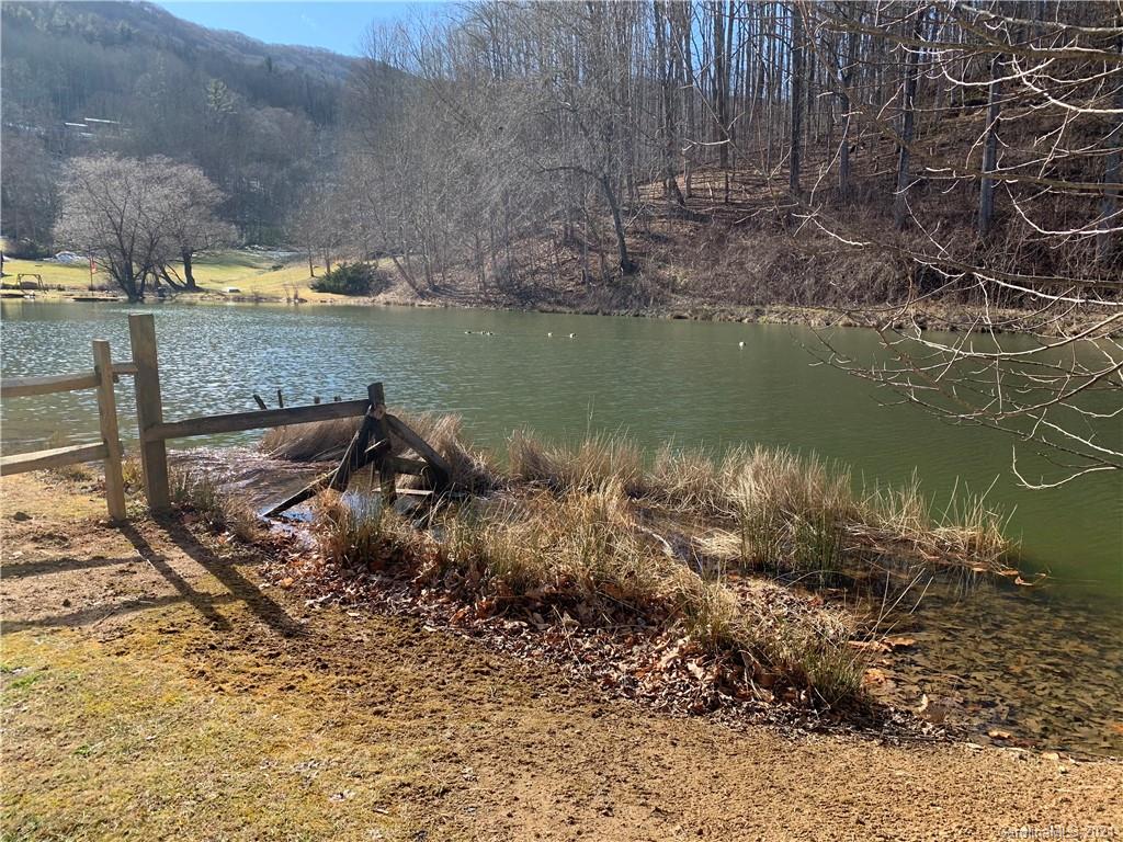 33 Rugged Top Road Waynesville, NC 28785 - Photo 28 of 36