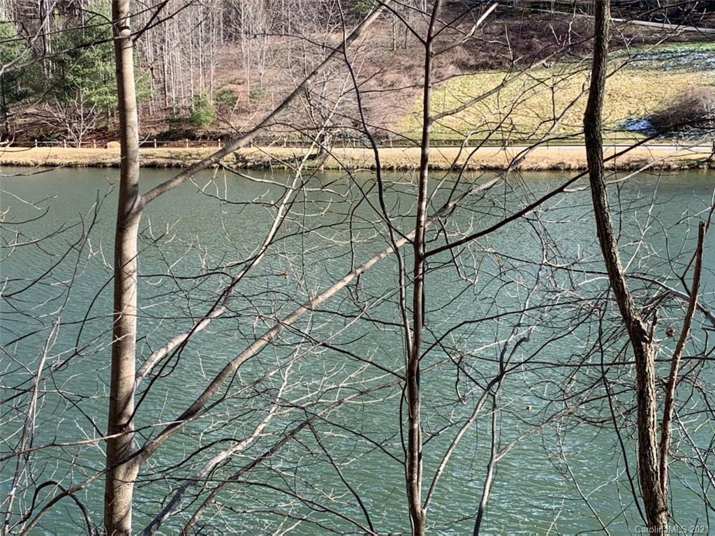 33 Rugged Top Road Waynesville, NC 28785 - Photo 5 of 36