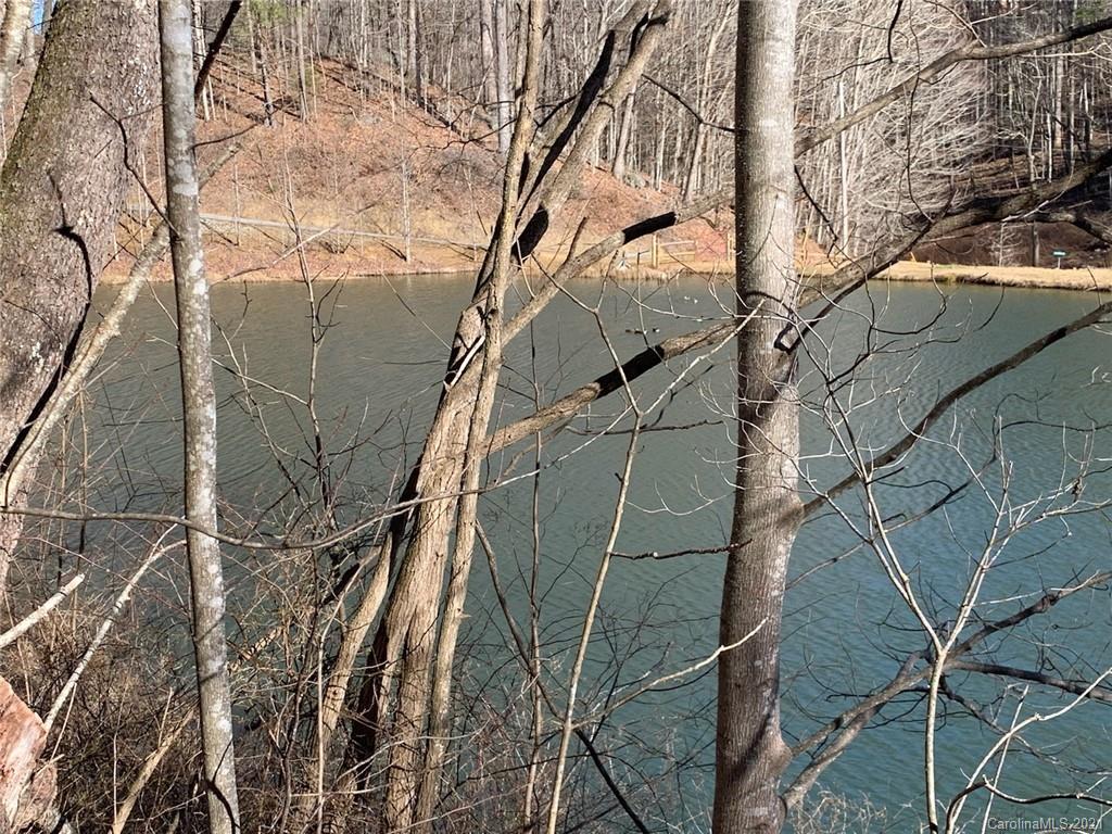 33 Rugged Top Road Waynesville, NC 28785 - Photo 6 of 36