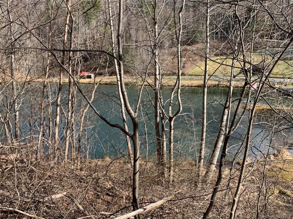 33 Rugged Top Road Waynesville, NC 28785 - Photo 8 of 36