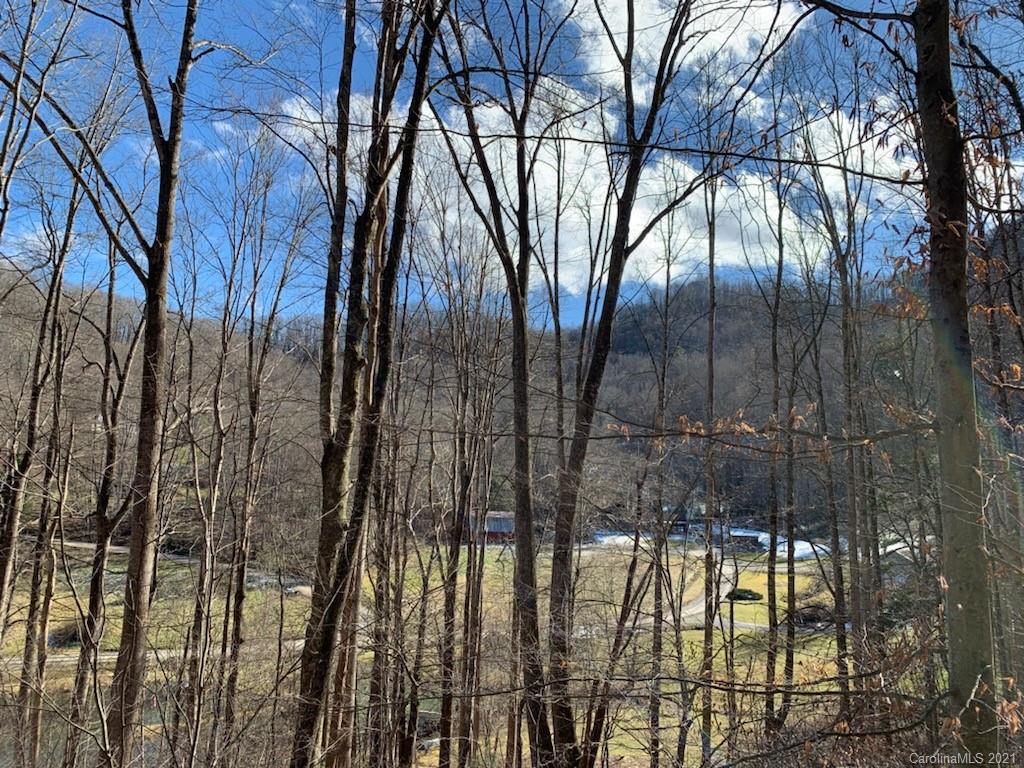 33 Rugged Top Road Waynesville, NC 28785 - Photo 9 of 36