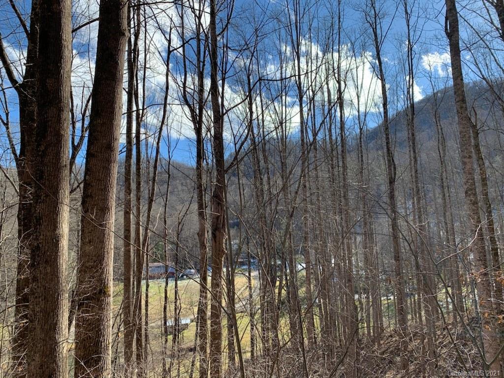 33 Rugged Top Road Waynesville, NC 28785 - Photo 10 of 36