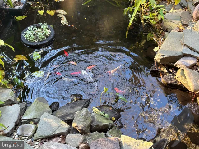 $800,000 | 106 Florida Avenue, Milton, DE 19968