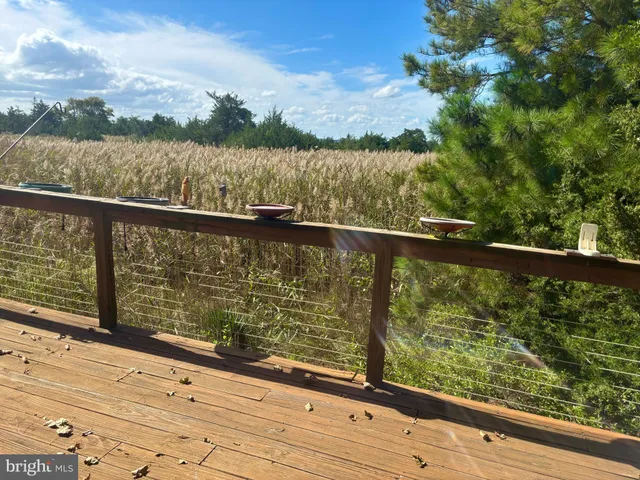 $800,000 | 106 Florida Avenue, Milton, DE 19968