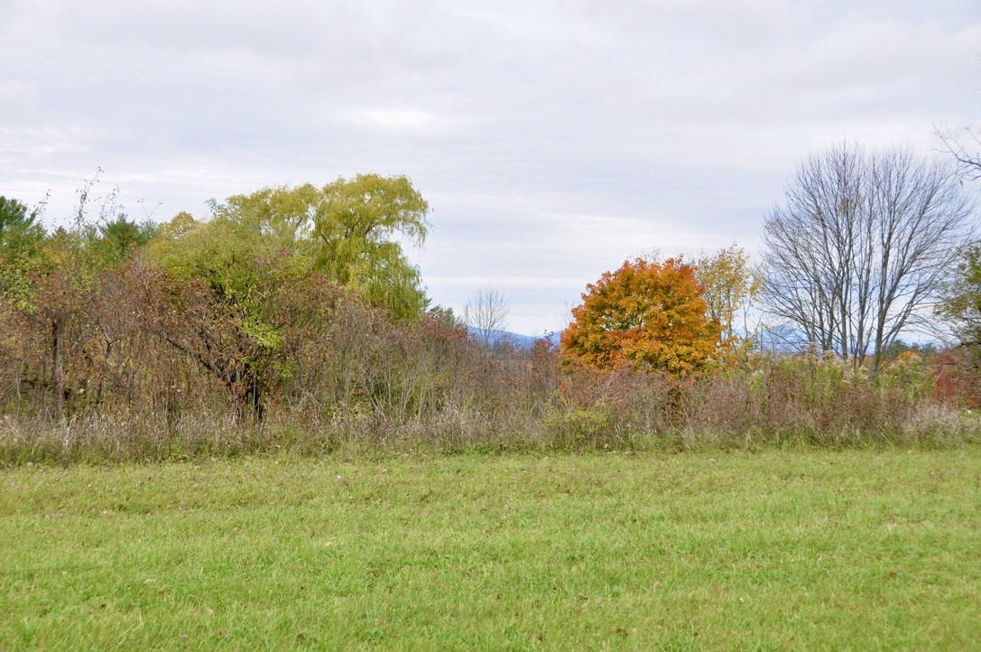 Tbd Sperry Road Cornwall, VT 05753 - Photo 2 of 31 Gallery Image 2