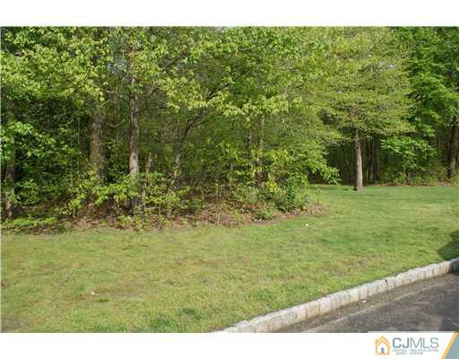 158 Redpine Loop Old Bridge, NJ 08857 - Photo 19 of 20 Gallery Image 19