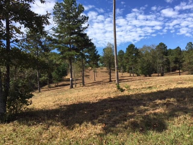 7 Ward Road Loudon, TN 37774 - Photo 3 of 7 a view of a yard with wooden fence