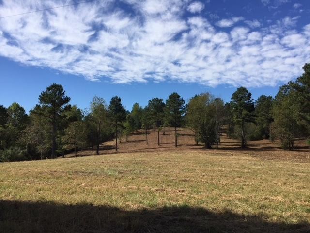 7 Ward Road Loudon, TN 37774 - Photo 5 of 7 a swimming pool with trees in the background