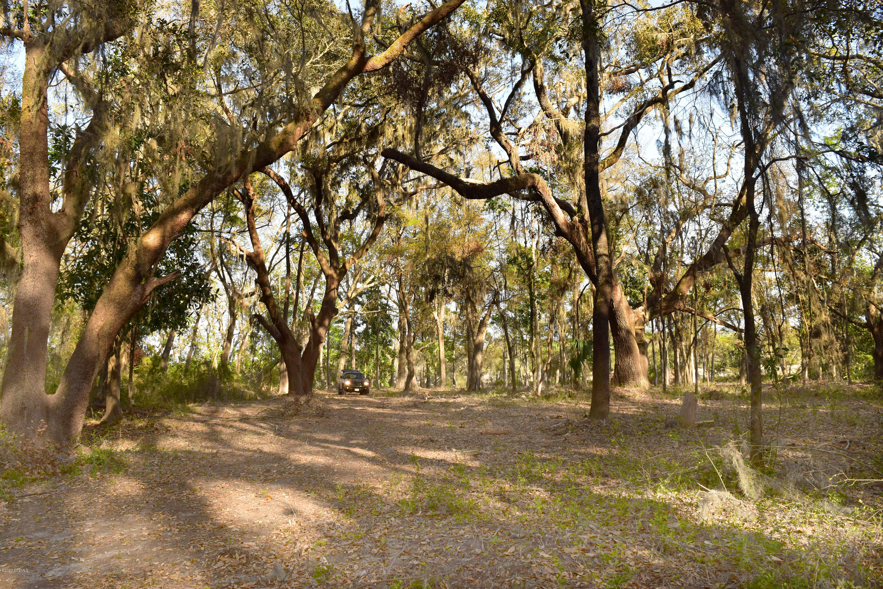Parcel C&d Yard Farm Road St. Helena Island, SC 29920 - Photo 15 of 31 DSC_0615