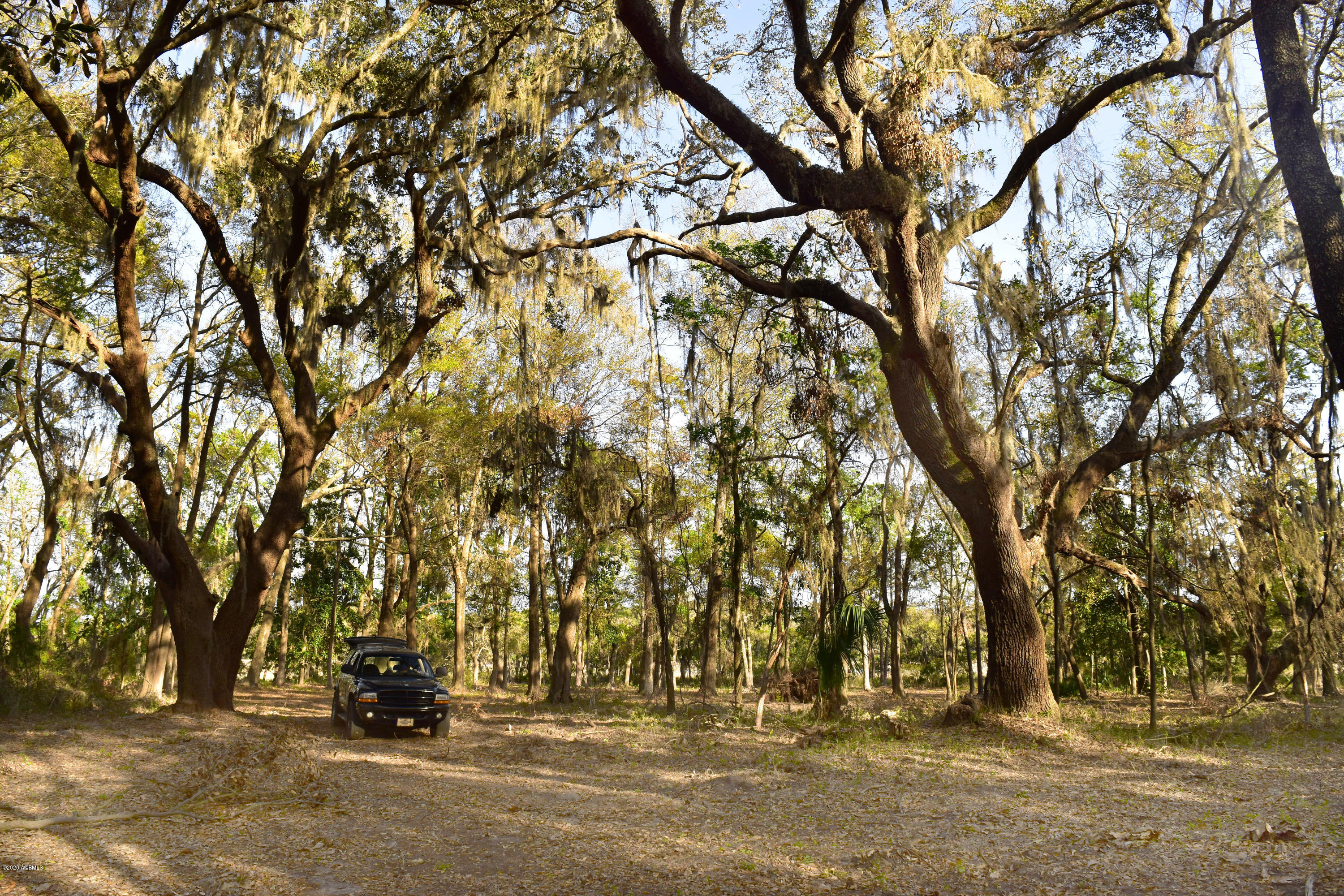 Parcel C&d Yard Farm Road St. Helena Island, SC 29920 - Photo 18 of 31 DSC_0619