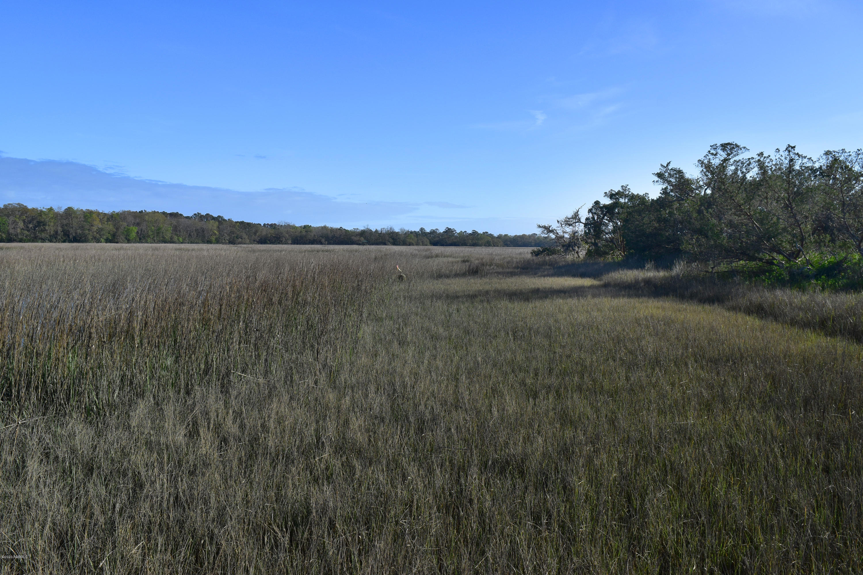 Parcel C&d Yard Farm Road St. Helena Island, SC 29920 - Photo 19 of 31 DSC_0600