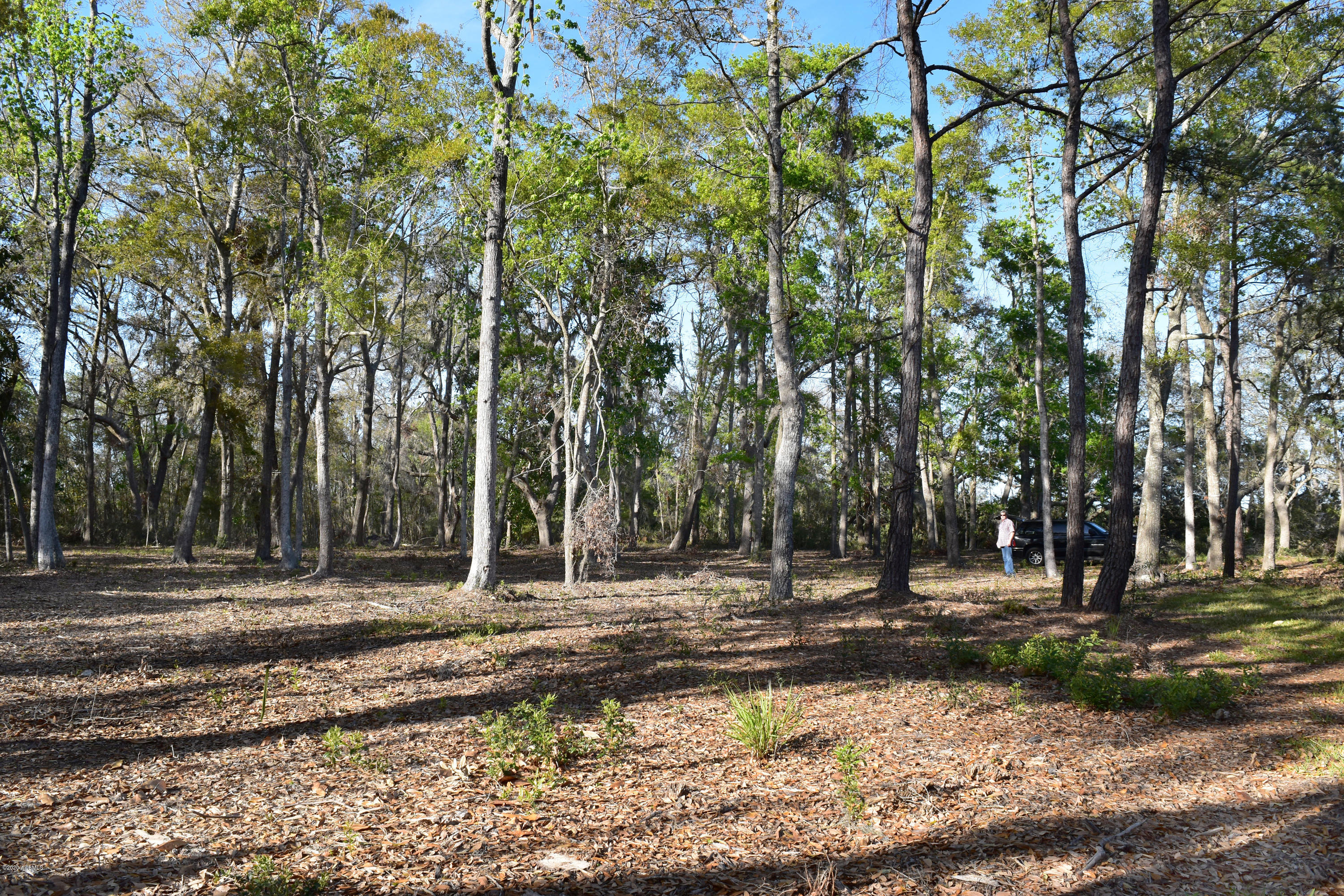 Parcel C&d Yard Farm Road St. Helena Island, SC 29920 - Photo 20 of 31 DSC_0606