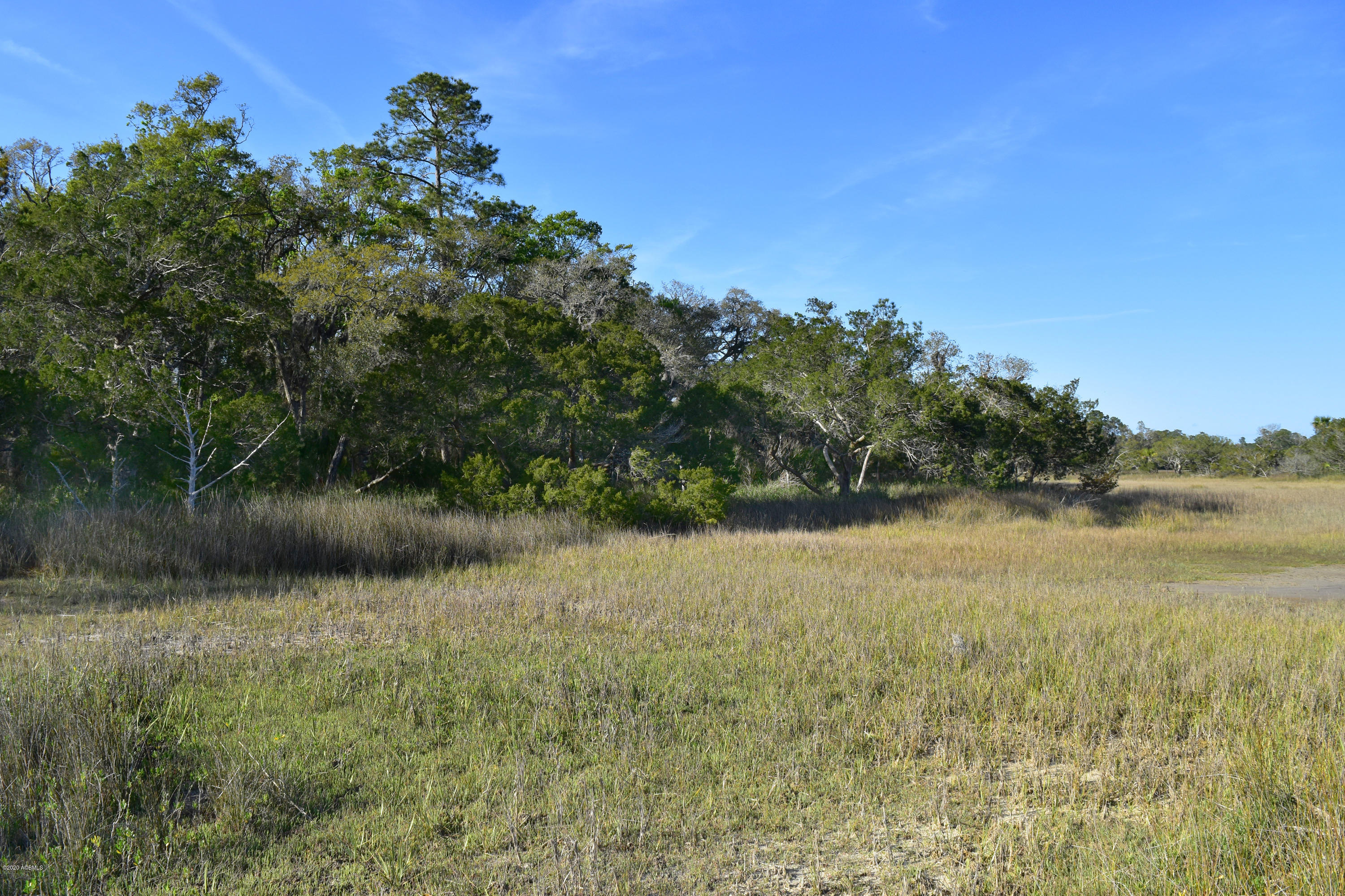 Parcel C&d Yard Farm Road St. Helena Island, SC 29920 - Photo 21 of 31 DSC_0604