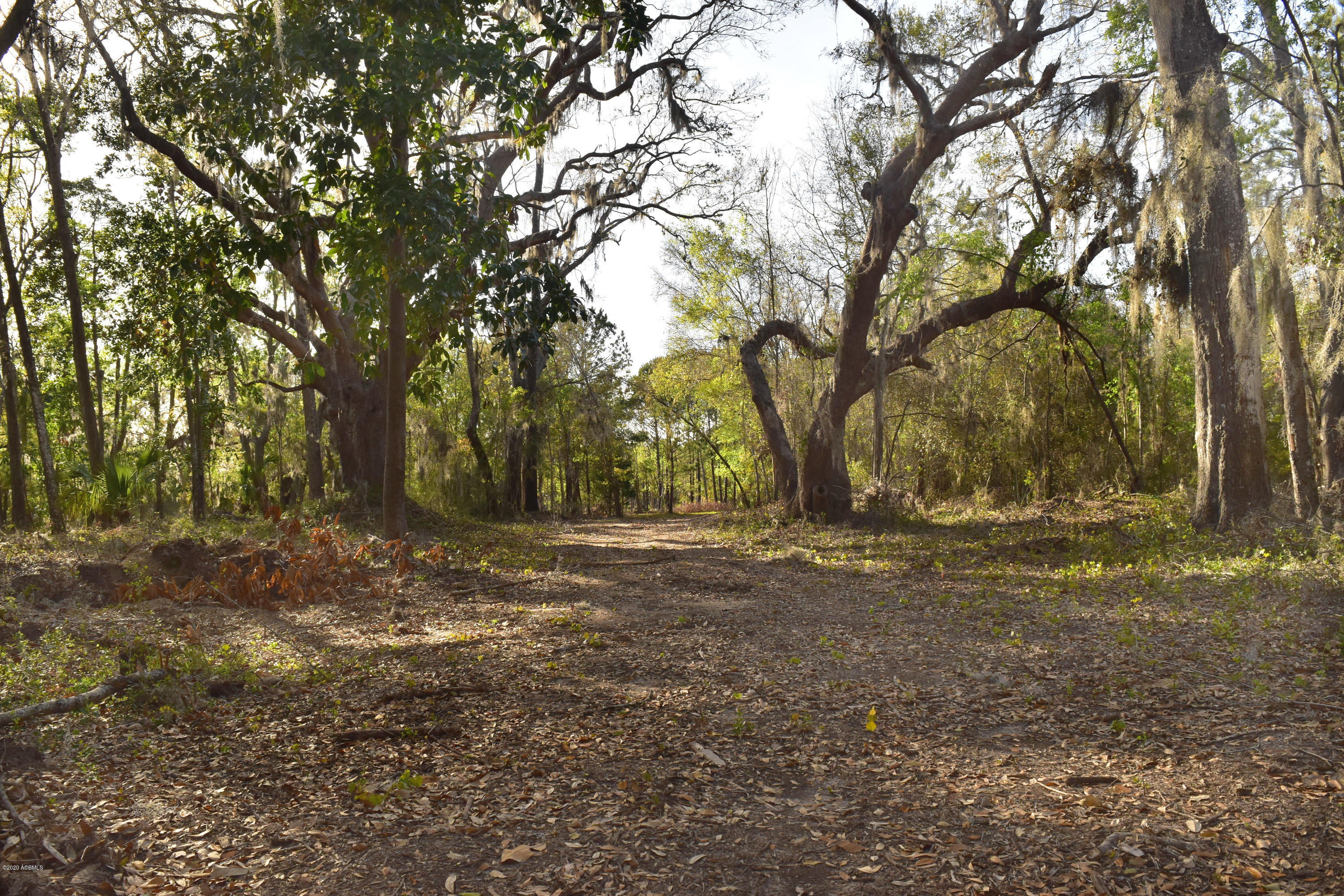 Parcel C&d Yard Farm Road St. Helena Island, SC 29920 - Photo 22 of 31 DSC_0618