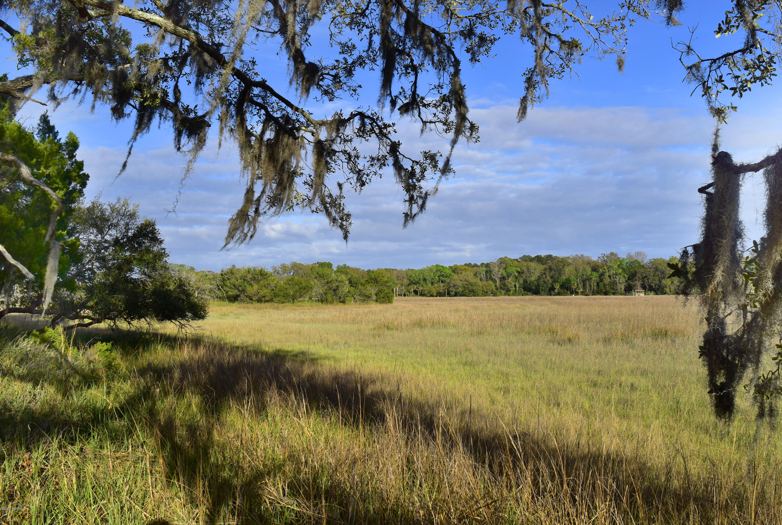 Parcel C&d Yard Farm Road St. Helena Island, SC 29920 - Photo 23 of 31 DSC_0661