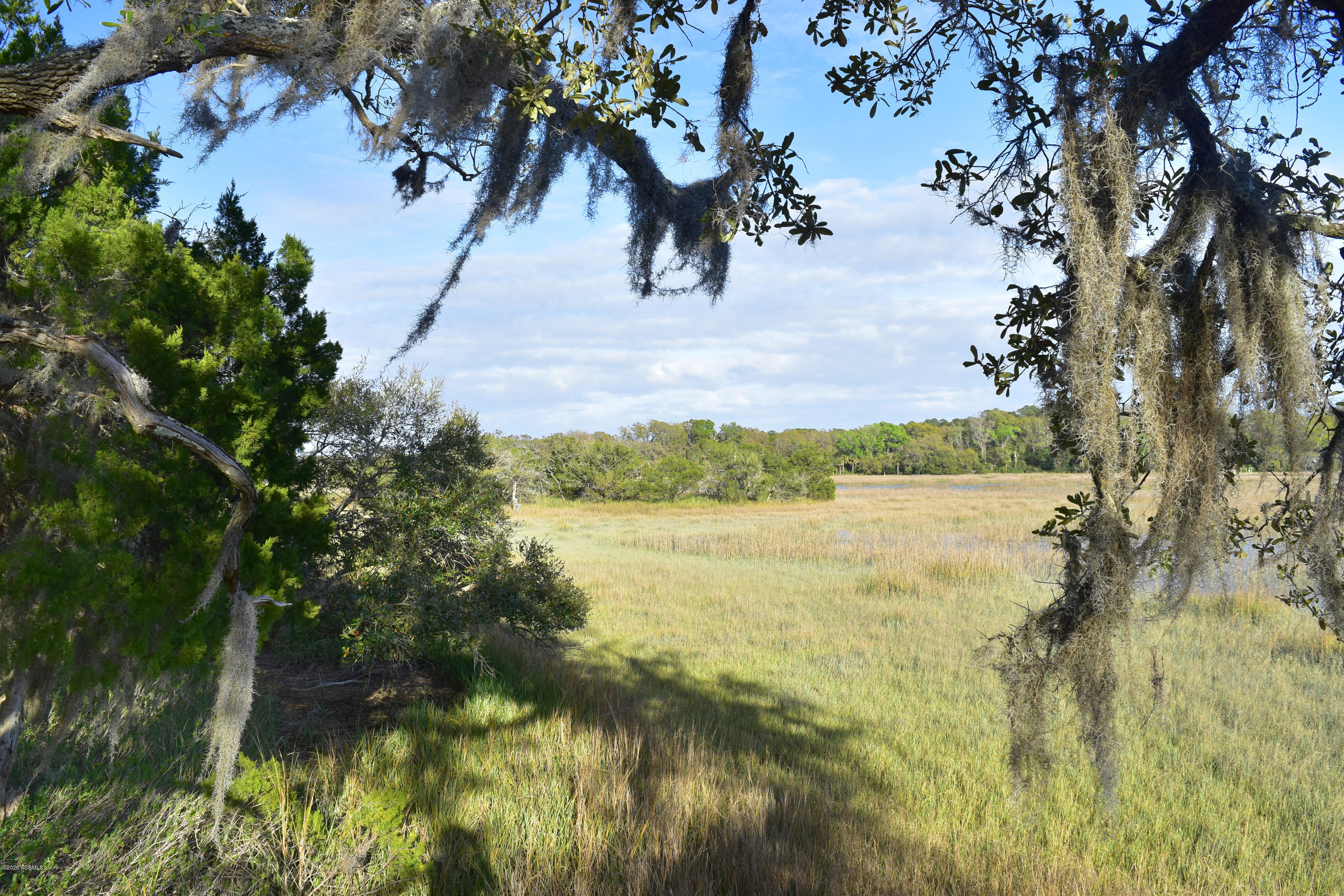 Parcel C&d Yard Farm Road St. Helena Island, SC 29920 - Photo 25 of 31 DSC_0646