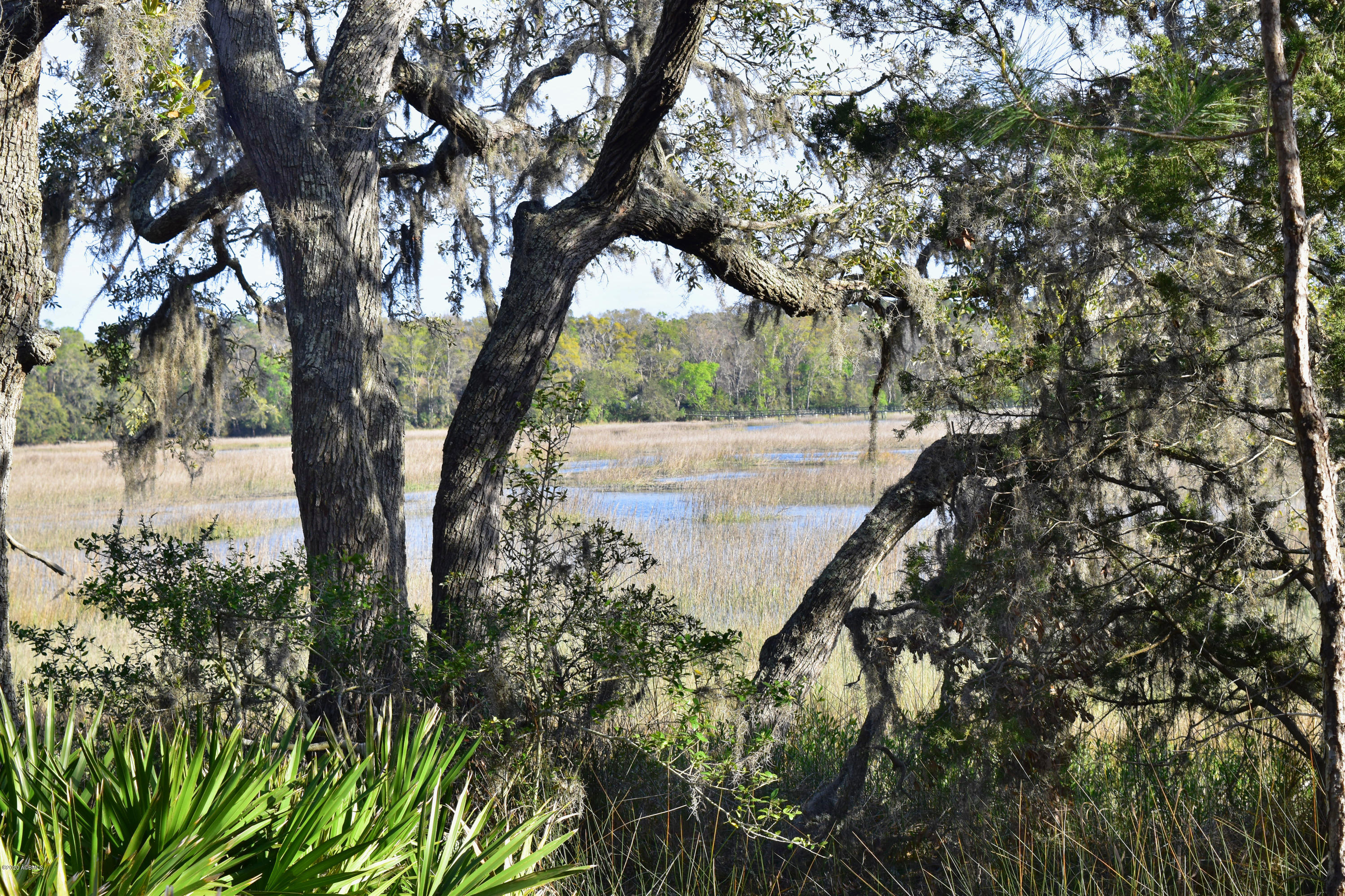 Parcel C&d Yard Farm Road St. Helena Island, SC 29920 - Photo 26 of 31 DSC_0640