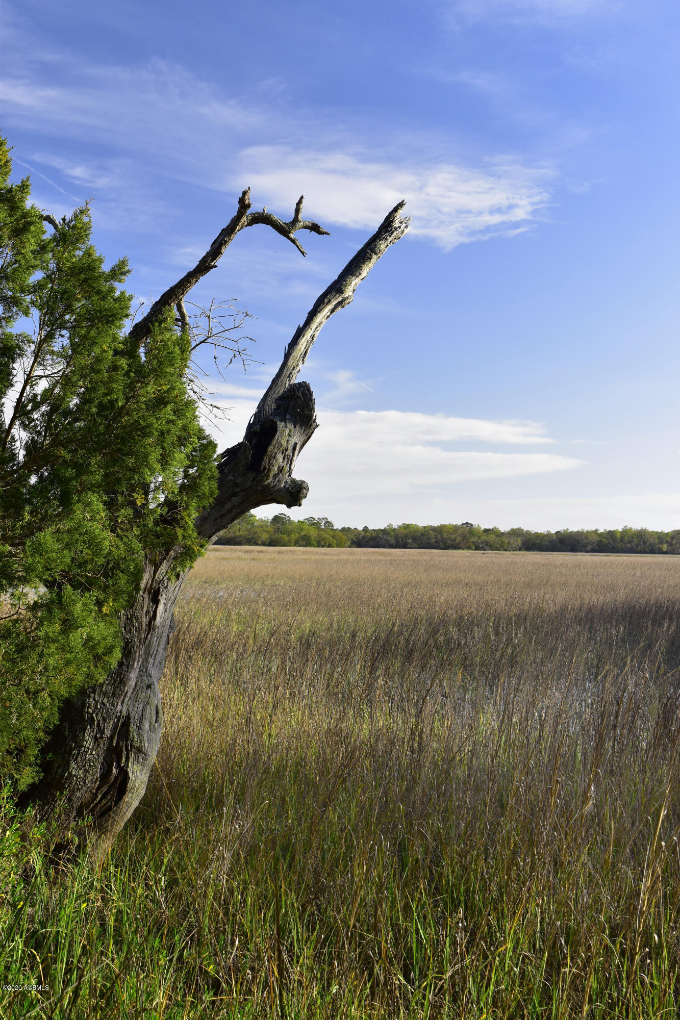 Parcel C&d Yard Farm Road St. Helena Island, SC 29920 - Photo 27 of 31 DSC_0643