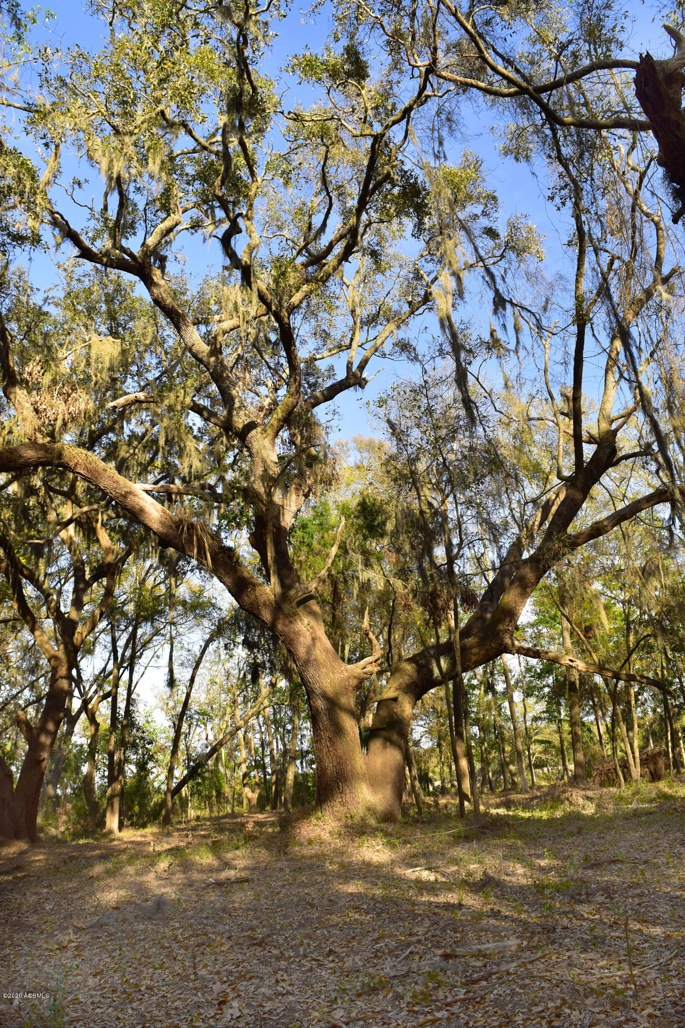 Parcel C&d Yard Farm Road St. Helena Island, SC 29920 - Photo 28 of 31 DSC_0623