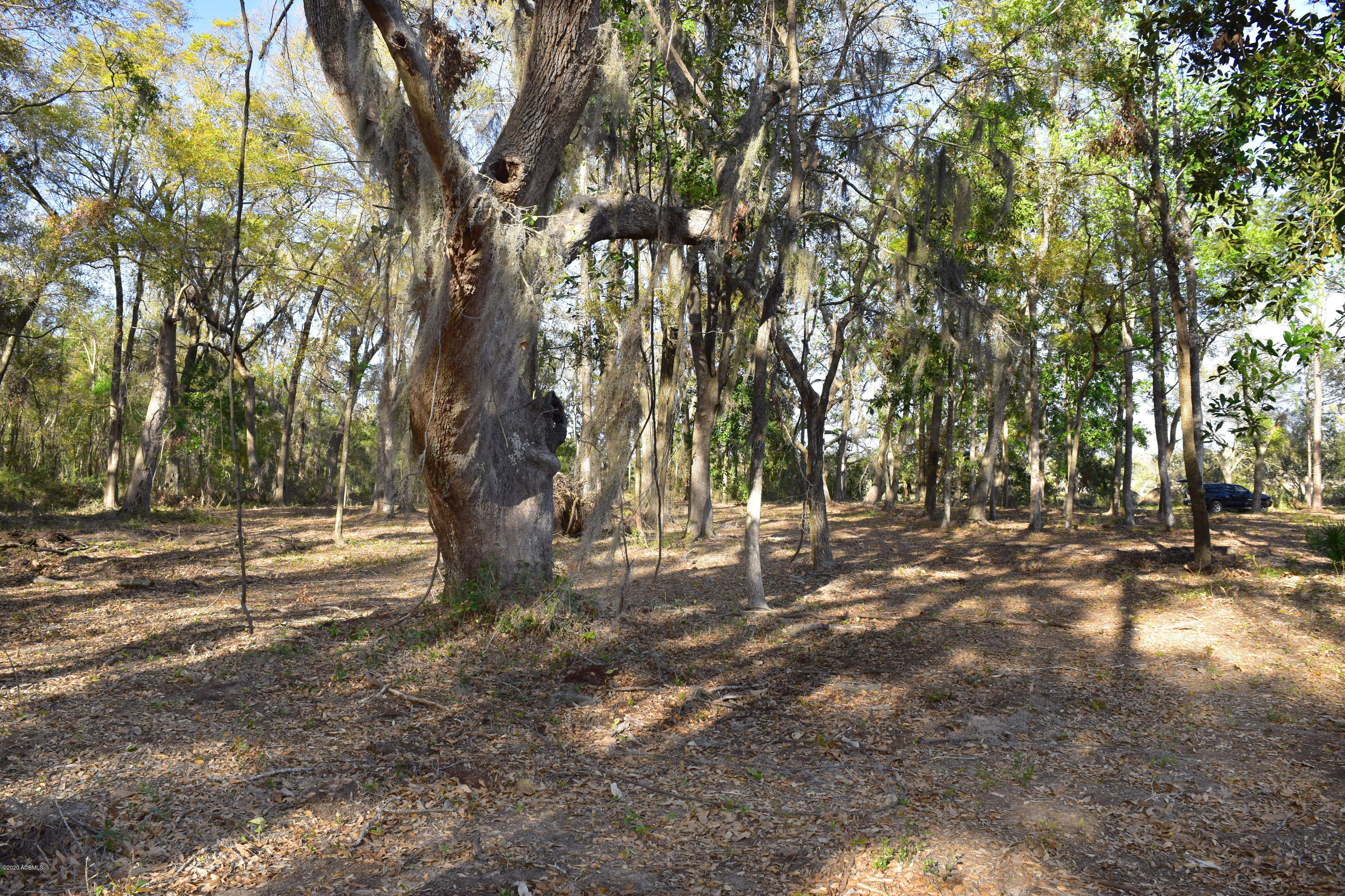 Parcel C&d Yard Farm Road St. Helena Island, SC 29920 - Photo 29 of 31 DSC_0609