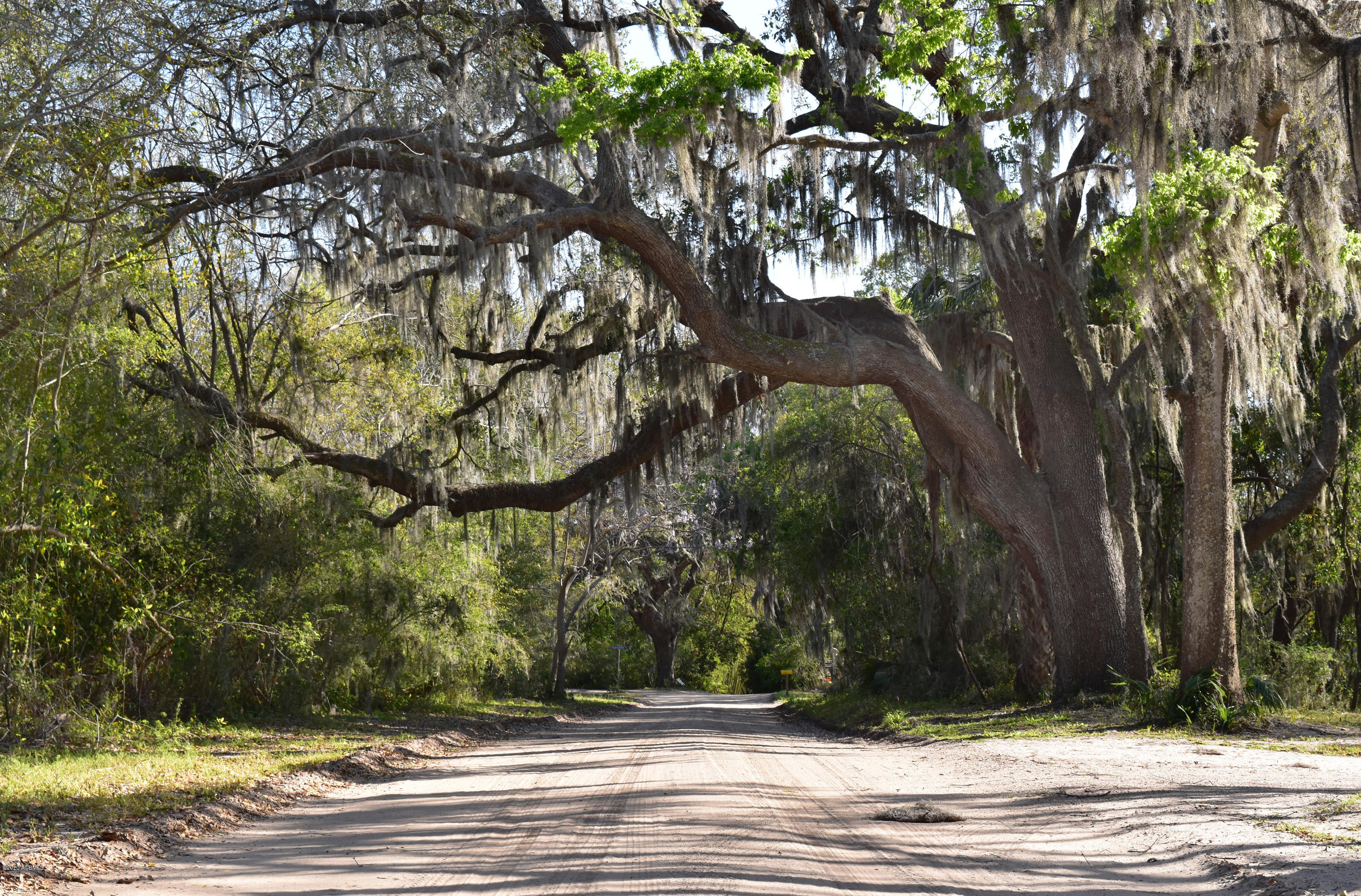 Parcel C&d Yard Farm Road St. Helena Island, SC 29920 - Photo 3 of 31 DSC_0545