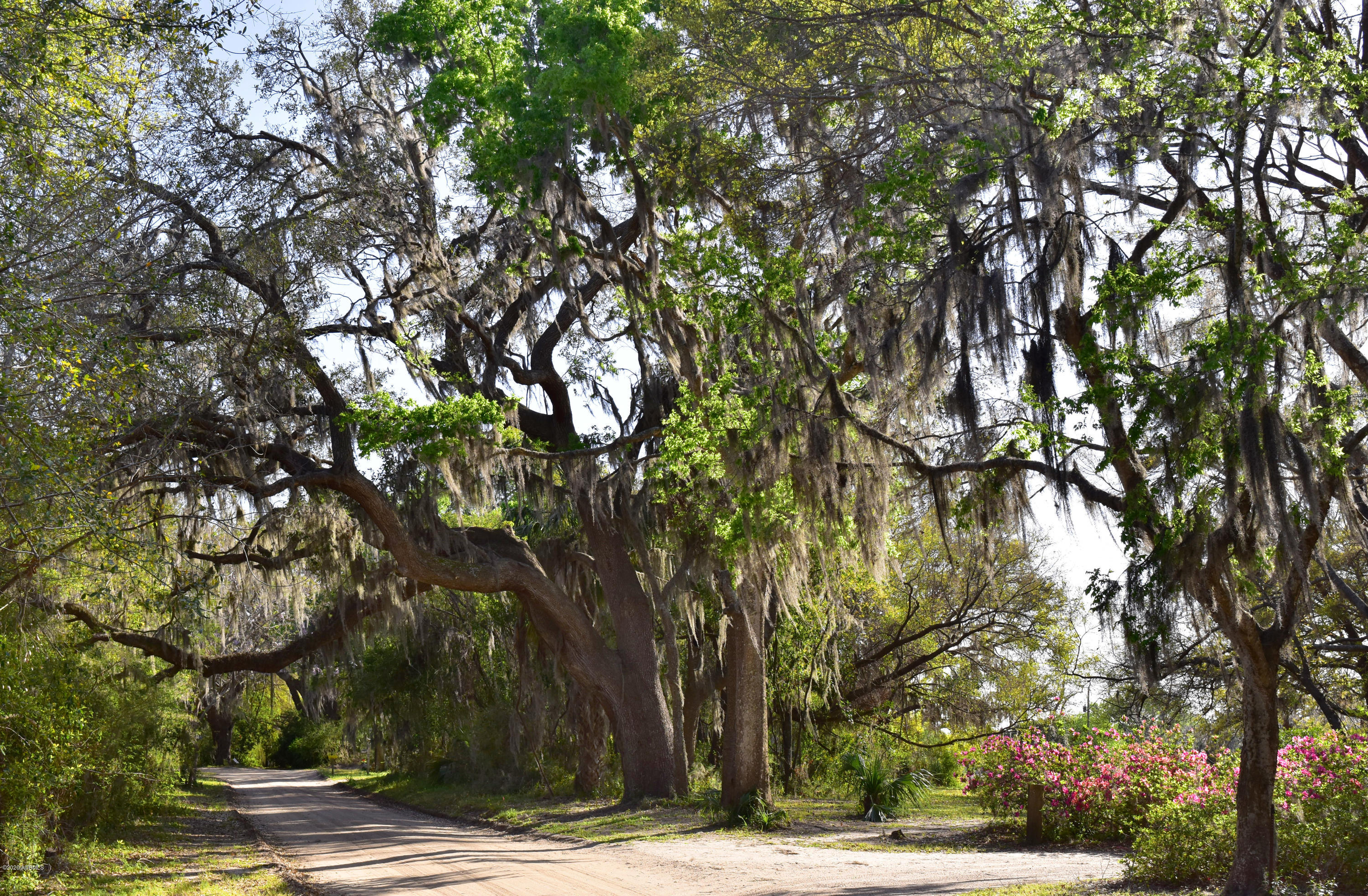 Parcel C&d Yard Farm Road St. Helena Island, SC 29920 - Photo 6 of 31 DSC_0539