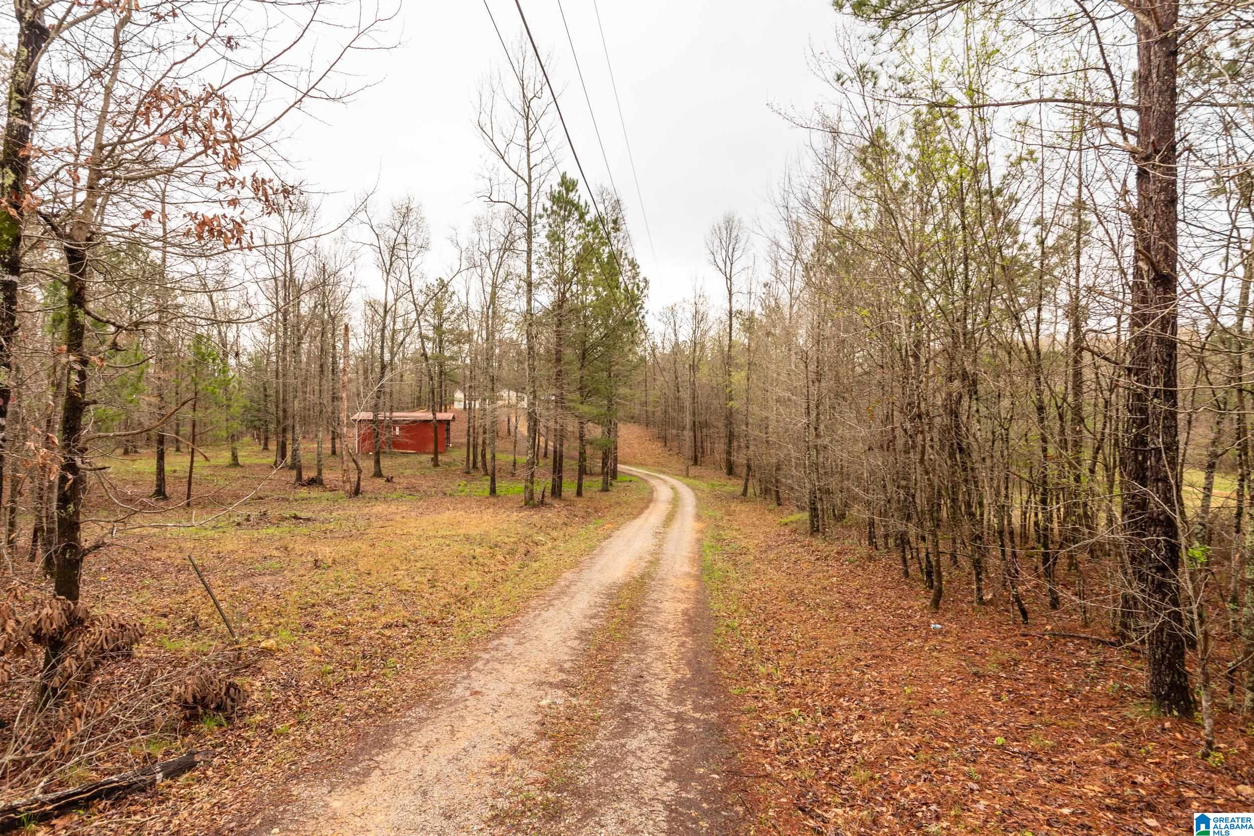 479 Old Creek Road Ohatchee, AL 36271 - Photo 38 of 38