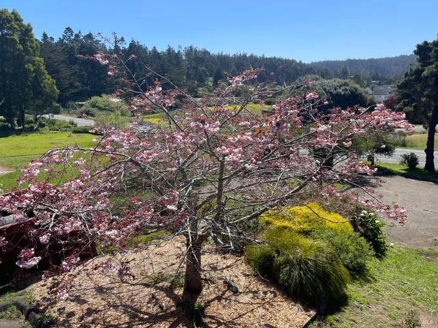 $1,875,000 | 44920 Little Lake Road, Mendocino, CA 95460